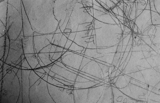 Tacita Dean, Still Life, 2009 film a colori in 16mm, muto,  5½ minuti, estratto da film, Courtesy l'artista, Frith Street Gallery, London e / and Marian Goodman Gallery, New York / Paris