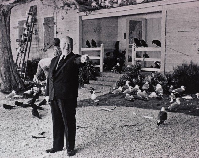 Alfred Hitchcock sul set de “Gli Uccelli” (1963) © 2014 Universal Studios. Tutti i diritti riservati MONDADORI PORTFOLIO/ALBUM