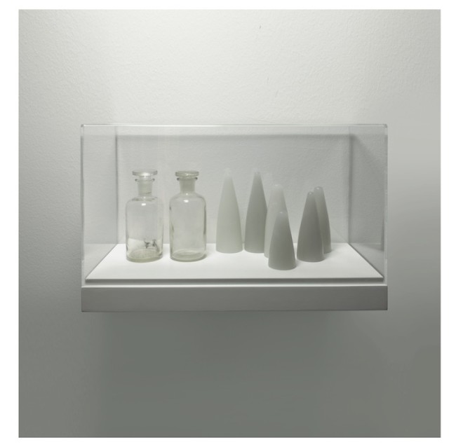 Elena Modorati, Mémoire II, 2015, cera, vetro in teca, 34x40x20 cm Courtesy Progettoarte elm Foto Bruno Bani, Milano