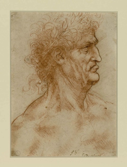 Leonardo da Vinci, Testa maschile di profilo verso destra coronata di alloro, 1506-08 circa, matita rossa ripassata a penna e inchiostro su carta bianca, 22.2x17.5 cm, Biblioteca Reale, Torino