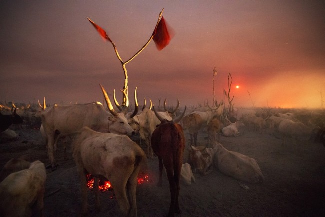 Kazuyoshi Nomachi, Un accampamento di allevatori nella notte mentre sorge la luna piena Jonglei, Sudan del Sud, 2012 © Kazuyoshi Nomachi