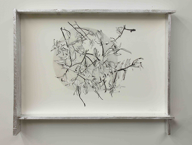 Fausta Squatriti, De rerum natura: dispersione, 2016, matita, pastelli su carta, legno, cm 79,5x102x10