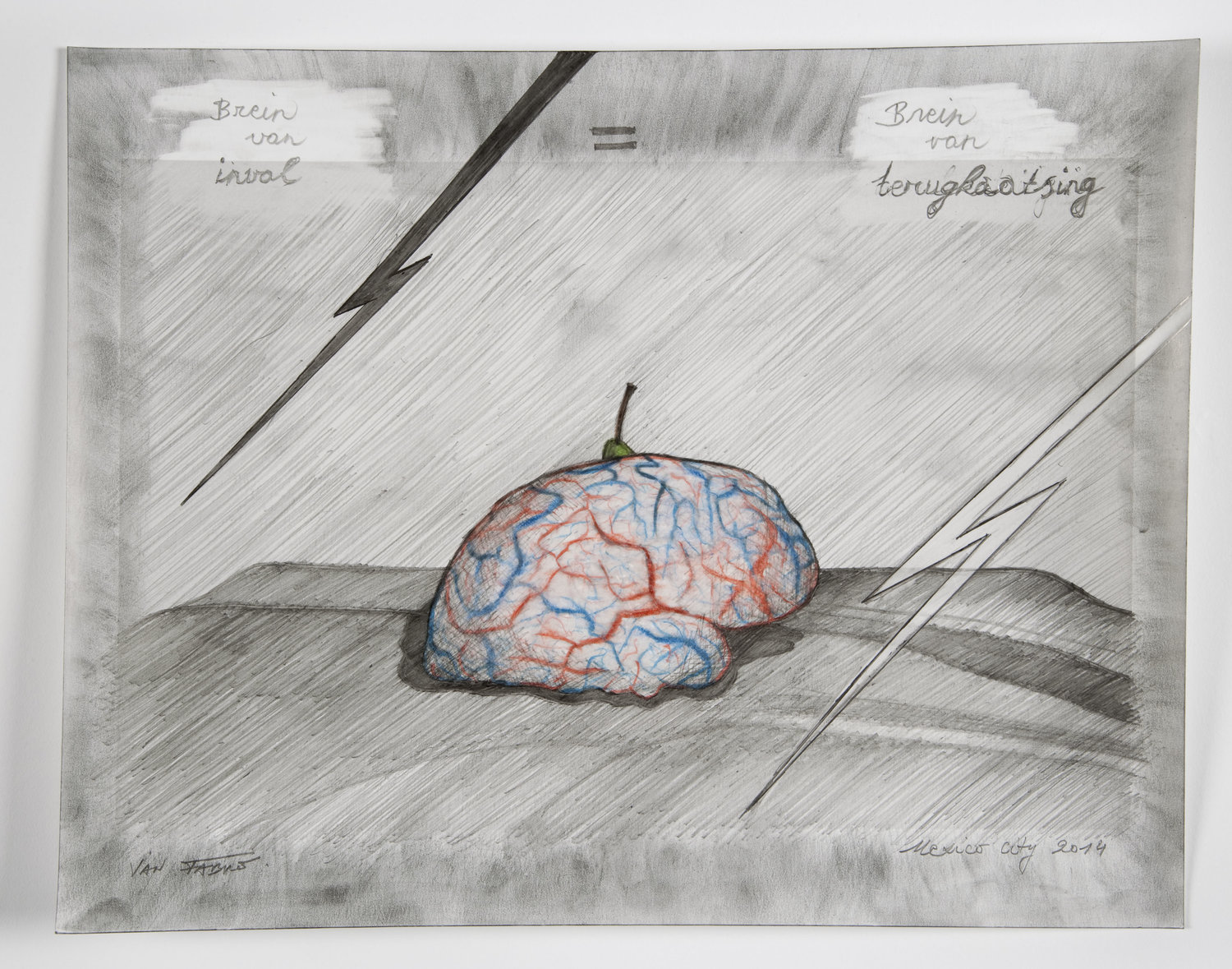 Jan Fabre, Brain of incidence = brain of reflection, 2014, HB pencil and colour pencil on photographic paper, 24x30.5 cm Photo Pat Verbruggen © Angelos bvba