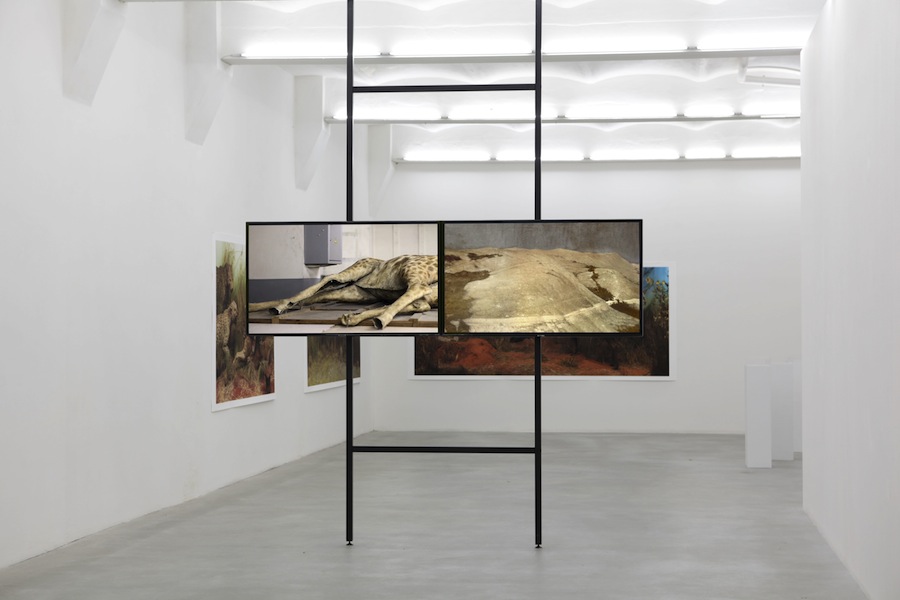 Katarina Dzjelar Into, The Interior, 2015, veduta della mostra presso SpazioA, Pistoia Courtesy l’artista e SpazioA, Pistoia