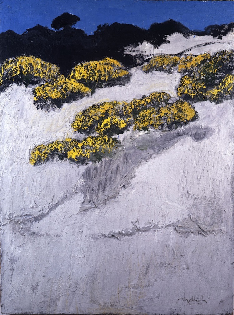 Carlo Mattioli, Le ginestre, 1979, olio su tela, cm 100x74