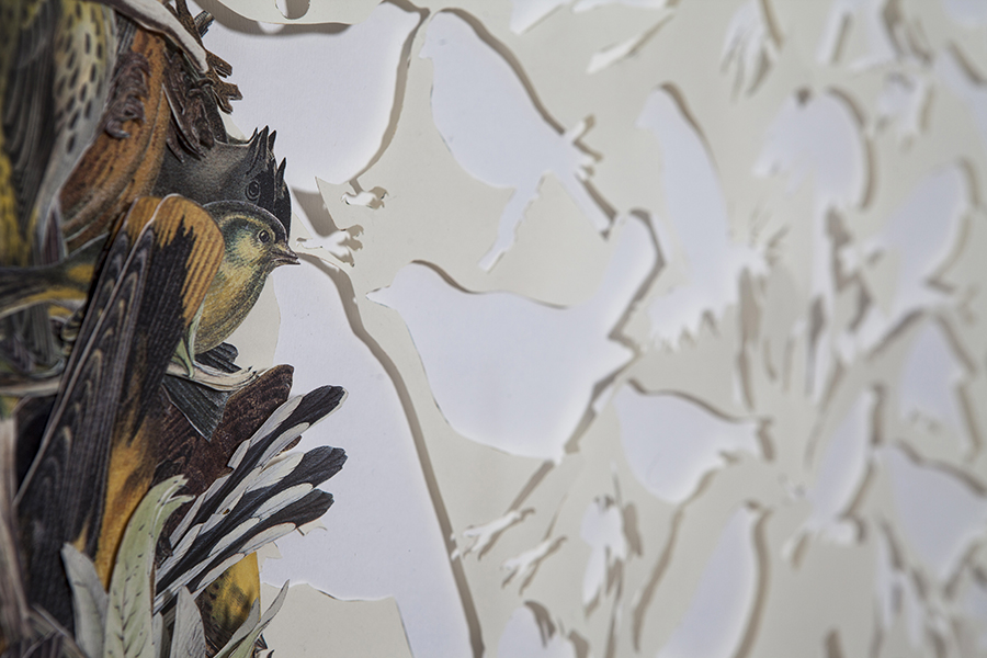 Gianluca Quaglia, VOLATILI, intagli su carta, collage, 100x70cm, 2015
